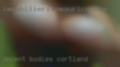 Decent bodies in Cortland for early 60s. Decent bodies in Cortland for early 60s.